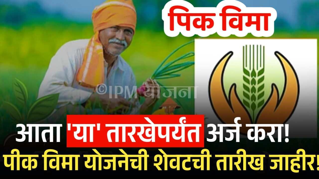 पीक विमा योजनेची शेवटची तारीख जाहीर! आता 'या' तारखेपर्यंत करता येईल अर्ज Pik Vima Yojana Last Date