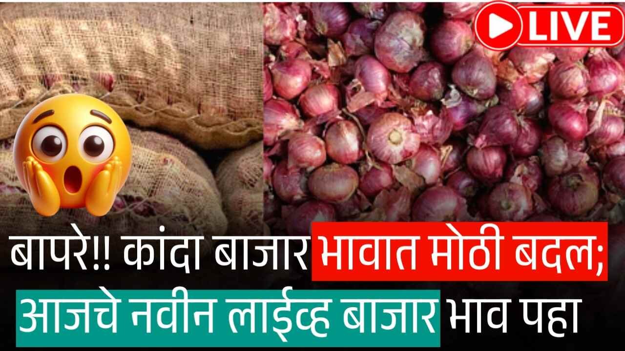 कांदा बाजार भावात मोठी बदल; आजचे लाईव्ह बाजार भाव पहा Onion Rate Today